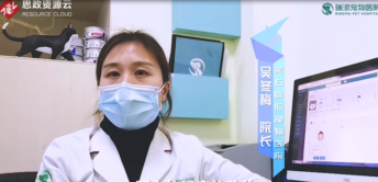 <em>了不起</em><em>的</em>寵物醫生吳冬梅：因為熱愛，所以堅守