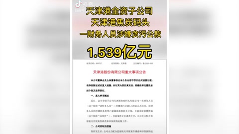 天津某公司<em>財(cái)務(wù)</em>人員貪污公款1.539億元人民幣