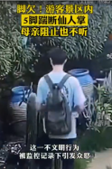 連踹5<em>腳</em><em>踢</em>斷景區仙人掌！男子引發眾怒
