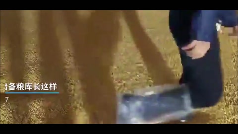 探秘“大國糧倉”！原來中央儲(chǔ)備糧庫長這樣