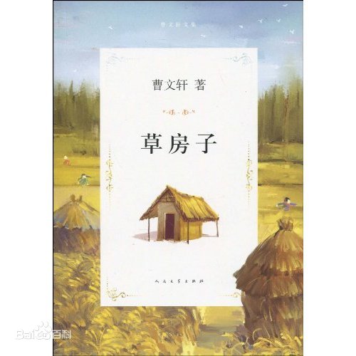 桑桑望著這一幢一幢草<em>房子</em>，淚水朦朧之中，它們連成了一大片金色。——《草<em>房子</em>》