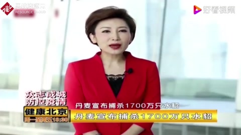 丹麥宣布捕殺1700萬只水貂，因水貂養殖場出現變異新冠病毒！