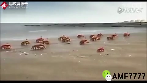 這才是團(tuán)隊(duì)精神！