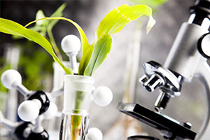 植物保護專業：普通植物病理學（植物抗病性）——《同心協力揭示科學奧秘》課程思政案例
