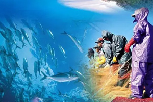 <em>海洋</em><em>科學</em><em>專業(yè)</em>：《<em>海洋</em><em>科學</em>導論》<em>課程</em><em>思</em><em>政</em><em>案例</em>