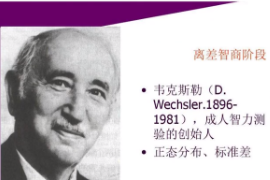 什么是<em>韋</em>氏智力測(cè)驗(yàn)