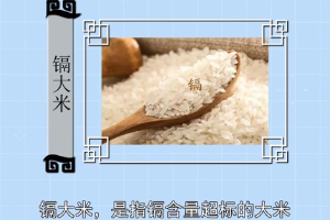 鎘大米—鎘含量超標(biāo)的大米