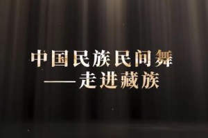 微課：早期教育、學前教育專業(yè)《舞蹈基礎(chǔ)—走進藏族民間舞之顫膝》