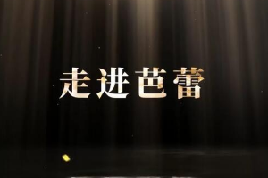 <em>微</em><em>課</em>：<em>早期教育</em>、<em>學(xué)前教育</em><em>專業(yè)</em>《<em>舞蹈</em><em>基礎(chǔ)</em>—<em>走進(jìn)</em>芭蕾舞》