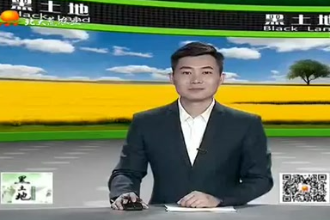 <em>生豬</em><em>養(yǎng)殖</em>需要注意的要點都有哪些？這幾個方面很<em>重要</em>