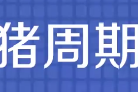 一分鐘了解<em>豬</em>周期
