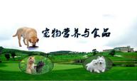 <em>微</em><em>課</em>：寵物養(yǎng)護(hù)<em>與</em>馴導(dǎo)<em>專業(yè)</em>《寵物<em>營(yíng)養(yǎng)</em><em>與</em><em>食品</em>》