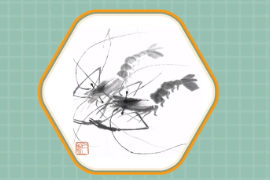 一分鐘讀懂齊白石蝦<em>圖</em>