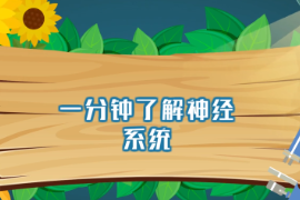 一分鐘了解<em>神經(jīng)</em>系統(tǒng)