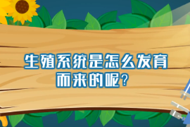 生殖系統(tǒng)是<em>怎么</em>發(fā)育而來的<em>呢</em>？