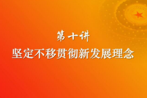 堅定不移<em>貫徹</em><em>新發(fā)展</em><em>理念</em>