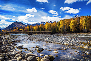<em>環境</em><em>科學</em><em>專業</em>：《<em>環境</em><em>生態學</em>》<em>課程</em><em>思</em><em>政</em><em>案例</em>