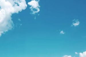 <em>微</em><em>課</em>：園林工程<em>技術(shù)</em><em>專業(yè)</em>《園林植物造景—植物造景》