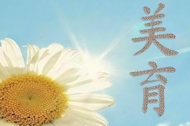 美育類專業：《美育—藝術—音樂的力量》課程思政案例