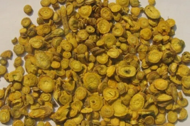 <em>中藥</em>黃芩
